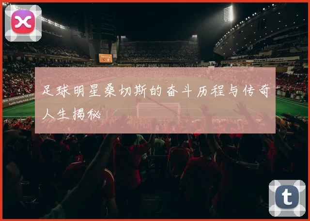 足球明星桑切斯的奋斗历程与传奇人生揭秘