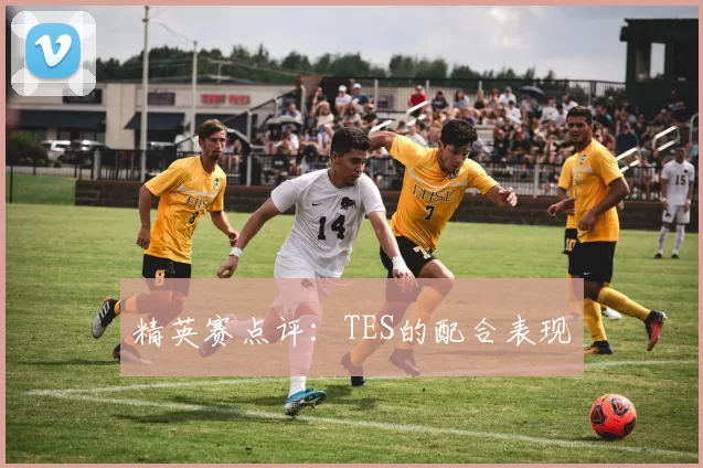 精英赛点评：TES的配合表现