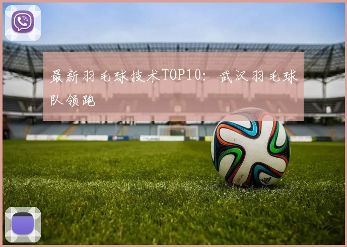 最新羽毛球技术TOP10：武汉羽毛球队领跑