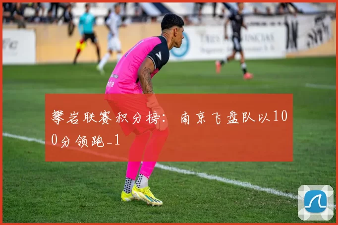 攀岩联赛积分榜：南京飞盘队以100分领跑_1
