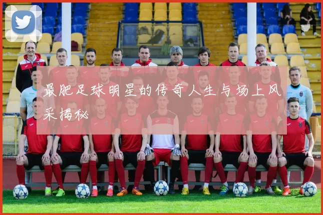 最肥足球明星的传奇人生与场上风采揭秘