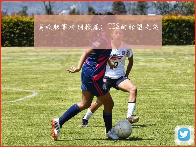 高校联赛特别报道：TES的转型之路