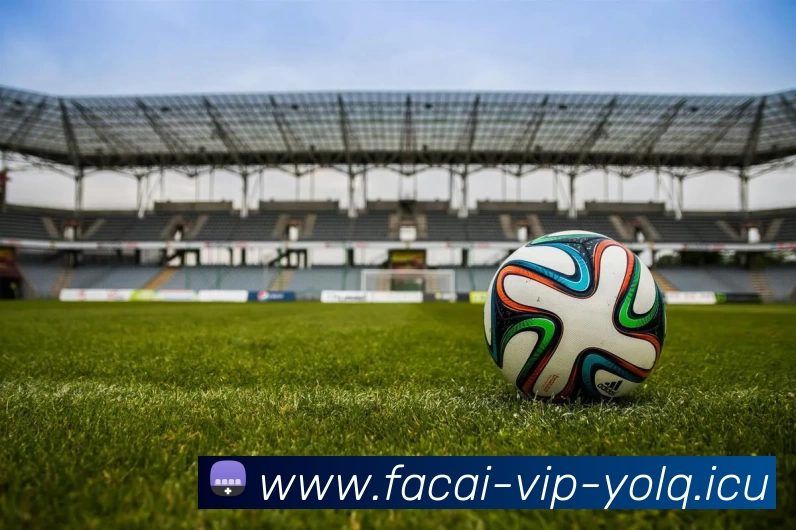 乐鱼体育品牌故事