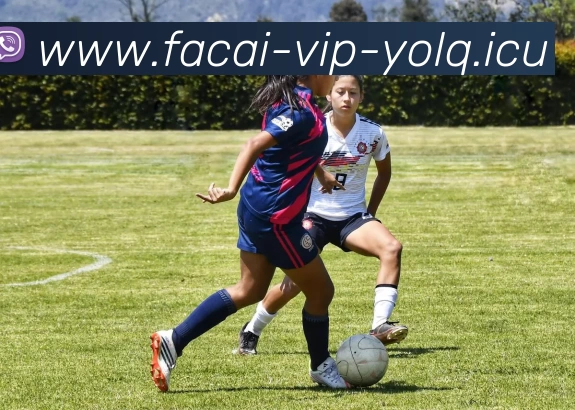 乐鱼体育服务体系